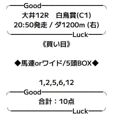 検証3レース目
