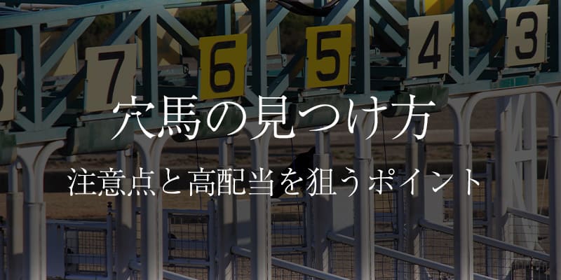 穴馬の見つけ方の記事のサムネイル