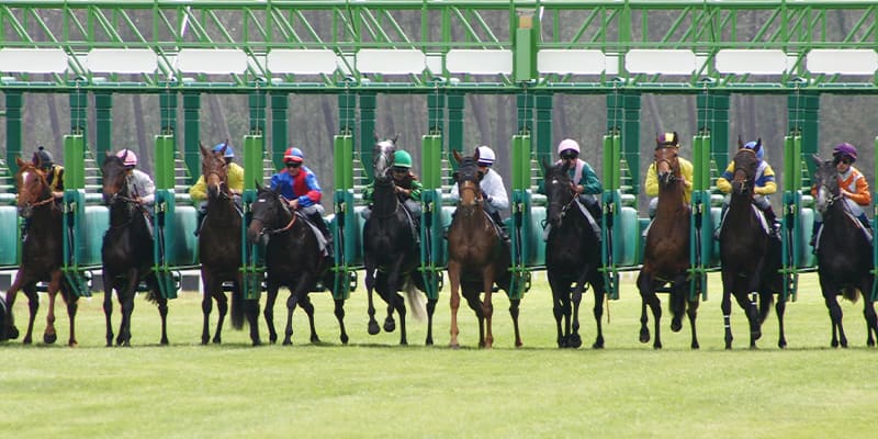 競馬が荒れる理由を解説